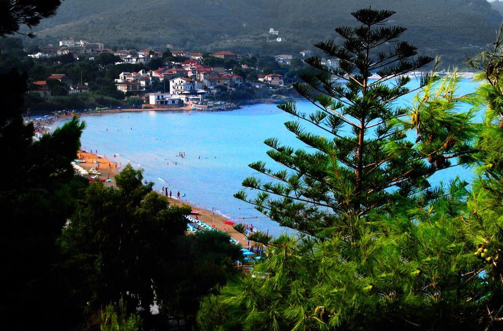 Villa Laura Sea View Apartments Santa Maria di Castellabate Luaran gambar